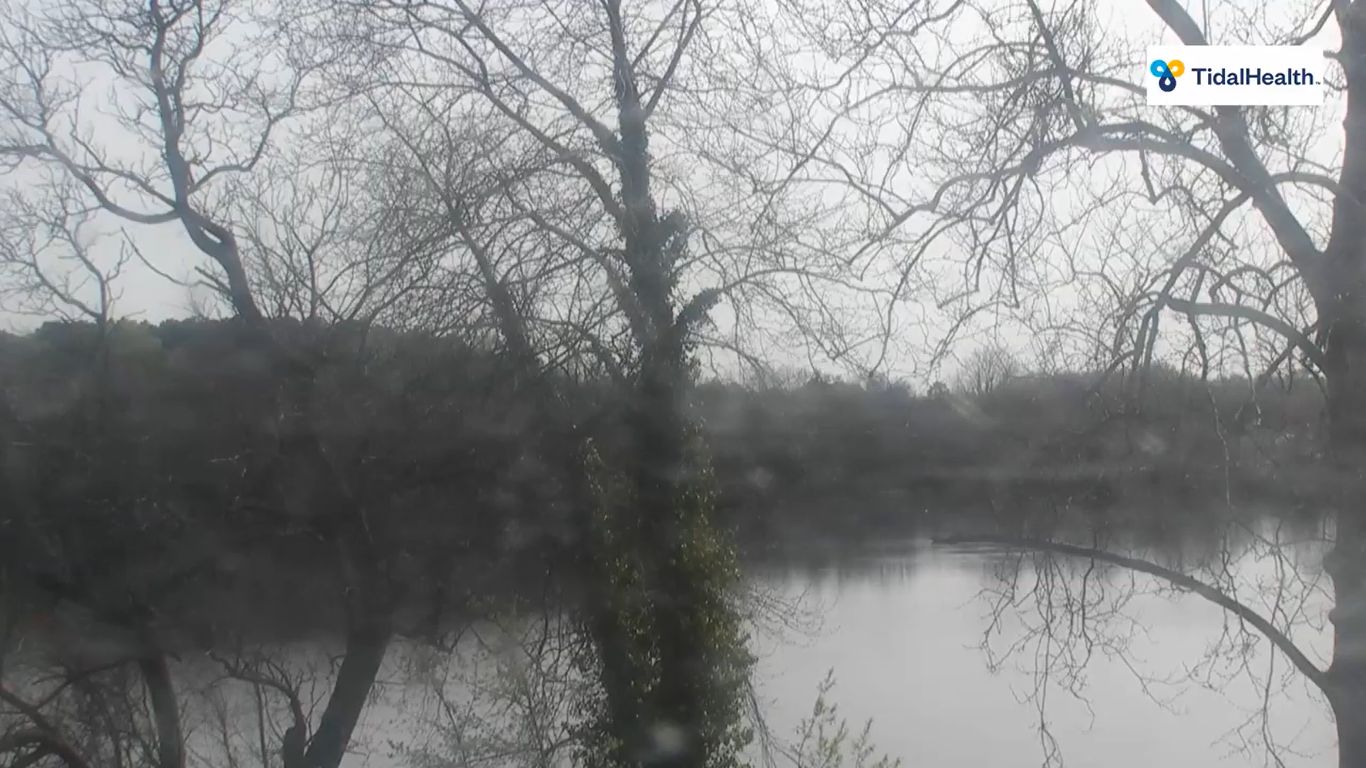 Seaford, Delaware Live Weather Cam