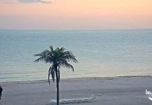 Sanibel Island Live Webcam New In Florida, Usa