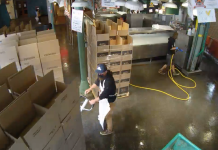 Pike Place Market Live Webcam New Seattle, Washington