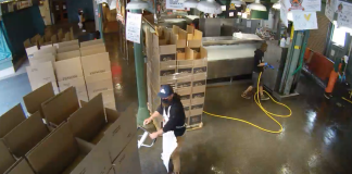 Pike Place Market Live Webcam New Seattle, Washington