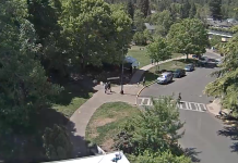 Lithia Park Live Webcam In Ashland, Oregon