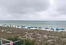 Panama City Beach Live Webcam New Moonspinner  Condos