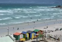 Live Muizenberg Beach Webcam Cape Town, South Africa