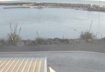 Plymouth Sport Fishing Underwater Club Live Webcam