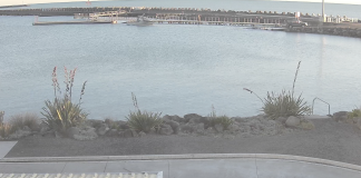 Plymouth Sport Fishing Underwater Club Live Webcam