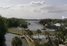 Crystal River Live Webcam New In Florida, Usa