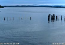 Shilshole Bay Live Webcam Seattle, Washington