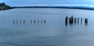 Shilshole Bay Live Webcam Seattle, Washington