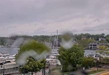 Live Marina Webcam Charlevoix, Michigan, Usa