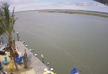 Chincoteague Island Live Webcam Virginia, Usa | Hd Video