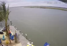 Chincoteague Island Live Webcam Virginia, Usa | Hd Video