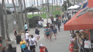 Venice Beach Boardwalk Live Webcam New California, Usa