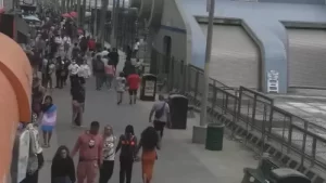 Venice Beach Webcam Boardwalk Area Live New California, Usa