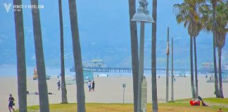 Venice Beach Webcam Boardwalk Area Live - California, Usa