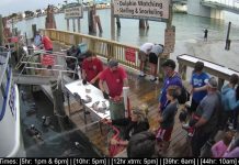 Live Hubbard's Marina Dock Webcam New Madeira Beach, Florida