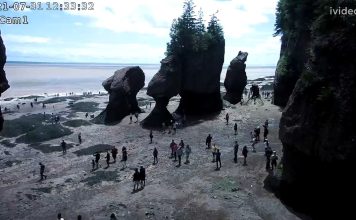 Hopewell Rocks Bay Of Fundy Webcam