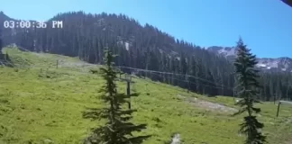Alpental Base Live Webcam - At The Summit At Snoqualmie
