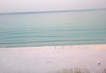 Henderson Park Inn Webcam - Destin, Florida - Live Video