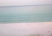 Henderson Park Inn Webcam - Destin, Florida - Live Video