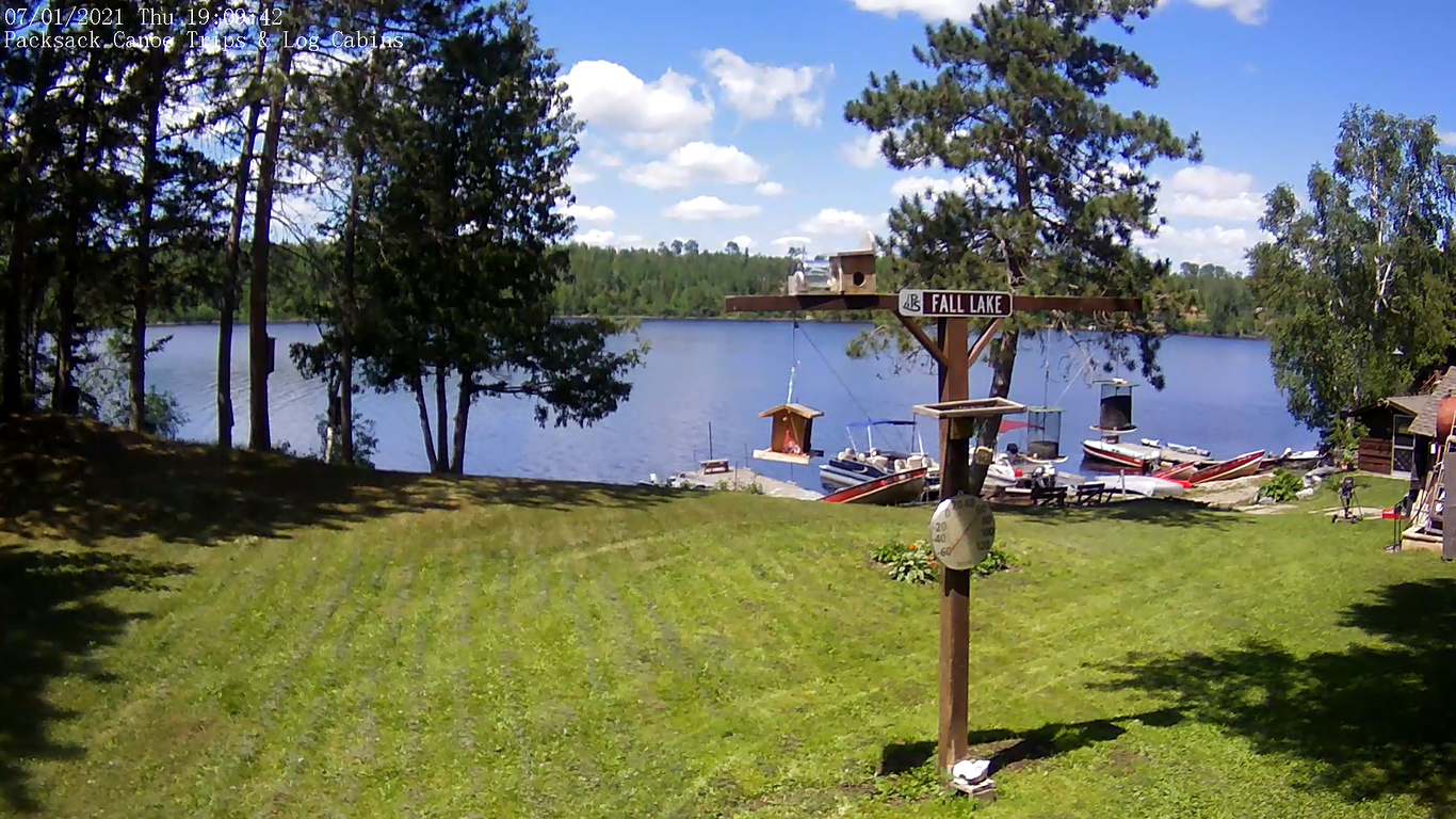 Superior National Forest Live Webcam Ely, Minnesota Live Beach Cam