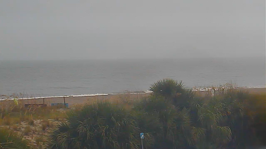 Savannah Live Cameras in Live Beach Cam