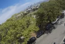 Mission Delores Park Live Webcam New In San Francisco, California