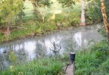 Live Deer Feeder Cam New In Center Point, Texas
