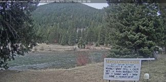 Gallatin River Live Webcam New In Montana, Usa