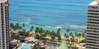 Hilton Waikiki Beach Live Webcam New In Honolulu, Hawaii