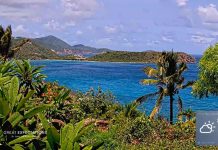 Live Webcam Rendezvous Bay - St. John, USVI