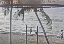 St. Croix Webcam | Cane Bay | Us Virgin Islands New