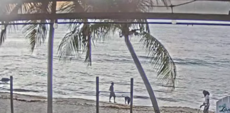 St. Croix Webcam | Cane Bay | Us Virgin Islands New