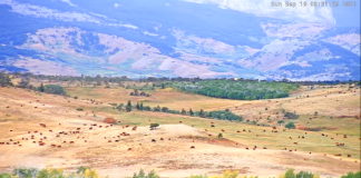 Rocky Mountain Front Live Webcam, Dupuyer Montana, Usa
