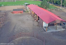 Dunrovin Ranch Live Webcam - Lolo, Montana