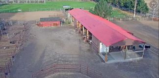 Dunrovin Ranch Live Webcam - Lolo, Montana