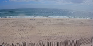Tiana Beach Live Webcam - Hampton Bays, New York