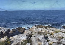 Duck Island Live Webcam - Frenchboro, Maine, Usa
