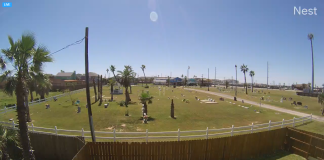 Port Aransas Live Webcam New In Texas, Usa