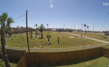 Port Aransas Live Webcam New In Texas, Usa