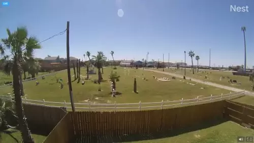 Port Aransas Live Webcam – Texas, USA