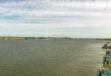 Elba Island Live Webcam - Savannah, Georgia