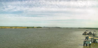 Elba Island Live Webcam - Savannah, Georgia