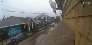 The Palms Hotel Street Live Webcam Fire Island, Ny