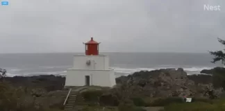 Amphitrite Point Lighthouse Live Webcam New B.c., Canada