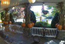 Spoiled Rotten Live Webcam - Ogunquit, Maine, Usa