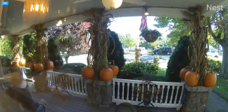 Spoiled Rotten Live Webcam - Ogunquit, Maine, Usa