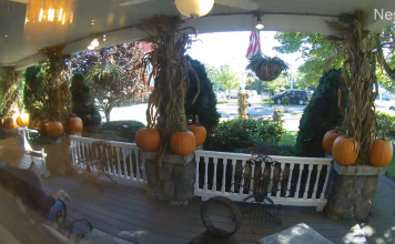 Spoiled Rotten Live Webcam - Ogunquit, Maine, Usa