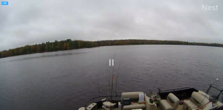 Moose Lake Live Webcam New Hayward, Wisconsin