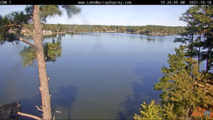 Lake Murray Overhead View New Columbia, Sc
