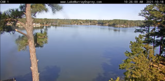 Lake Murray Overhead View New Columbia, Sc